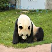 ヒメ日記 2025/06/14 16:14 投稿 さやか ぽちゃかわ専門店　ぽちゃぽちゃイケてる