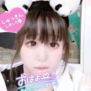 ヒメ日記 2025/06/28 10:04 投稿 さやか ぽちゃかわ専門店　ぽちゃぽちゃイケてる