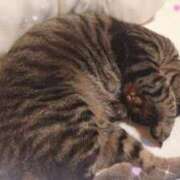 ヒメ日記 2025/07/09 12:08 投稿 さやか ぽちゃかわ専門店　ぽちゃぽちゃイケてる