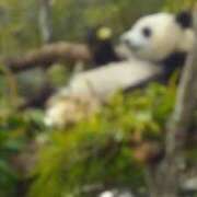 ヒメ日記 2025/07/11 12:05 投稿 さやか ぽちゃかわ専門店　ぽちゃぽちゃイケてる