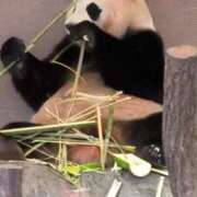 ヒメ日記 2025/07/19 16:07 投稿 さやか ぽちゃかわ専門店　ぽちゃぽちゃイケてる