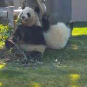 ヒメ日記 2025/07/28 14:16 投稿 さやか ぽちゃかわ専門店　ぽちゃぽちゃイケてる