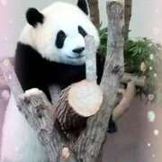 ヒメ日記 2025/08/10 14:07 投稿 さやか ぽちゃかわ専門店　ぽちゃぽちゃイケてる