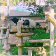 ヒメ日記 2025/08/26 08:39 投稿 さやか ぽちゃかわ専門店　ぽちゃぽちゃイケてる