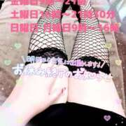 ヒメ日記 2025/09/11 19:11 投稿 さやか ぽちゃかわ専門店　ぽちゃぽちゃイケてる