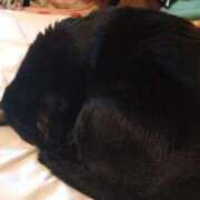 ヒメ日記 2025/09/15 14:19 投稿 さやか ぽちゃかわ専門店　ぽちゃぽちゃイケてる