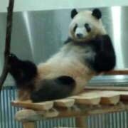 ヒメ日記 2025/09/26 21:22 投稿 さやか ぽちゃかわ専門店　ぽちゃぽちゃイケてる