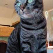 ヒメ日記 2025/11/09 14:02 投稿 さやか ぽちゃかわ専門店　ぽちゃぽちゃイケてる