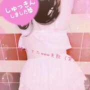 ヒメ日記 2025/11/18 09:56 投稿 さやか ぽちゃかわ専門店　ぽちゃぽちゃイケてる