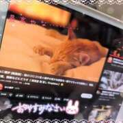 ヒメ日記 2025/11/25 00:18 投稿 さやか ぽちゃかわ専門店　ぽちゃぽちゃイケてる