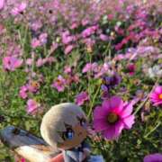 ヒメ日記 2025/12/04 21:16 投稿 さやか ぽちゃかわ専門店　ぽちゃぽちゃイケてる