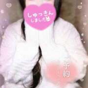 ヒメ日記 2025/12/06 09:46 投稿 さやか ぽちゃかわ専門店　ぽちゃぽちゃイケてる