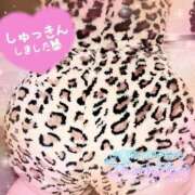 ヒメ日記 2025/12/14 09:46 投稿 さやか ぽちゃかわ専門店　ぽちゃぽちゃイケてる