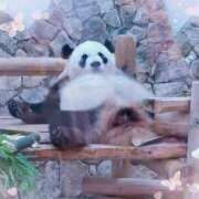 ヒメ日記 2026/02/07 18:13 投稿 さやか ぽちゃかわ専門店　ぽちゃぽちゃイケてる