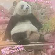 ヒメ日記 2026/04/05 16:11 投稿 さやか ぽちゃかわ専門店　ぽちゃぽちゃイケてる