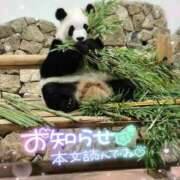 ヒメ日記 2026/04/27 14:28 投稿 さやか ぽちゃかわ専門店　ぽちゃぽちゃイケてる