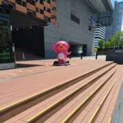 ヒメ日記 2026/05/11 14:08 投稿 さやか ぽちゃかわ専門店　ぽちゃぽちゃイケてる