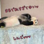 ヒメ日記 2026/07/19 14:10 投稿 さやか ぽちゃかわ専門店　ぽちゃぽちゃイケてる