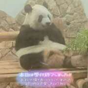ヒメ日記 2026/09/21 16:04 投稿 さやか ぽちゃかわ専門店　ぽちゃぽちゃイケてる