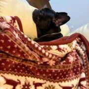 ヒメ日記 2025/03/13 03:56 投稿 AIMI GRAND STAGE