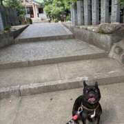 ヒメ日記 2025/06/13 15:24 投稿 AIMI GRAND STAGE