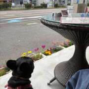 ヒメ日記 2026/04/06 16:58 投稿 AIMI GRAND STAGE