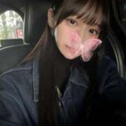 ヒメ日記 2025/11/15 17:34 投稿 SILK GRAND STAGE