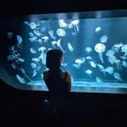 ヒメ日記 2024/12/16 23:04 投稿 NONOKA GRAND STAGE