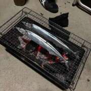 ヒメ日記 2025/11/07 21:34 投稿 NONOKA GRAND STAGE