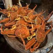 ヒメ日記 2025/11/08 21:08 投稿 NONOKA GRAND STAGE