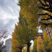 ヒメ日記 2025/11/24 22:08 投稿 NONOKA GRAND STAGE