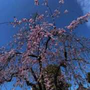 ヒメ日記 2026/03/23 20:20 投稿 NONOKA GRAND STAGE