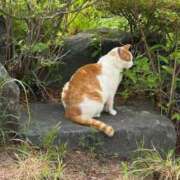 ヒメ日記 2026/04/13 19:50 投稿 HITOMI GRAND STAGE