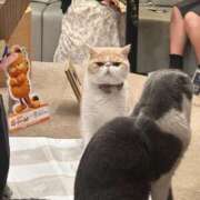 ヒメ日記 2025/01/06 15:36 投稿 REN GRAND STAGE