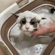 ヒメ日記 2025/02/27 05:46 投稿 REN GRAND STAGE