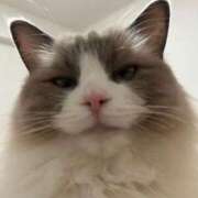 ヒメ日記 2025/03/07 19:06 投稿 REN GRAND STAGE