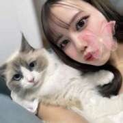 ヒメ日記 2025/03/31 11:56 投稿 REN GRAND STAGE