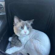 ヒメ日記 2025/04/25 02:56 投稿 REN GRAND STAGE