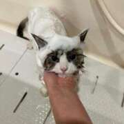 ヒメ日記 2025/04/26 22:06 投稿 REN GRAND STAGE