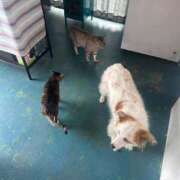 ヒメ日記 2025/05/08 20:06 投稿 REN GRAND STAGE