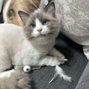 ヒメ日記 2025/05/27 20:06 投稿 REN GRAND STAGE