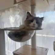 ヒメ日記 2025/06/28 19:34 投稿 REN GRAND STAGE