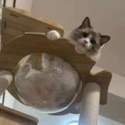 ヒメ日記 2025/07/07 03:13 投稿 REN GRAND STAGE