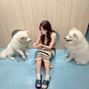 ヒメ日記 2025/07/14 15:53 投稿 REN GRAND STAGE