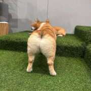 ヒメ日記 2025/08/06 00:54 投稿 REN GRAND STAGE