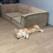 ヒメ日記 2025/08/07 02:04 投稿 REN GRAND STAGE