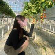 ヒメ日記 2025/08/10 02:14 投稿 REN GRAND STAGE