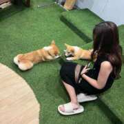 ヒメ日記 2025/08/11 19:54 投稿 REN GRAND STAGE