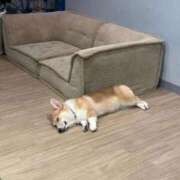 ヒメ日記 2025/08/29 12:05 投稿 REN GRAND STAGE