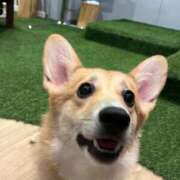 ヒメ日記 2025/09/04 01:44 投稿 REN GRAND STAGE